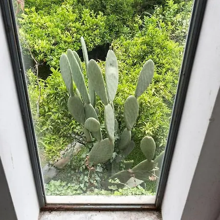 A Casa Di Zara Appartement *